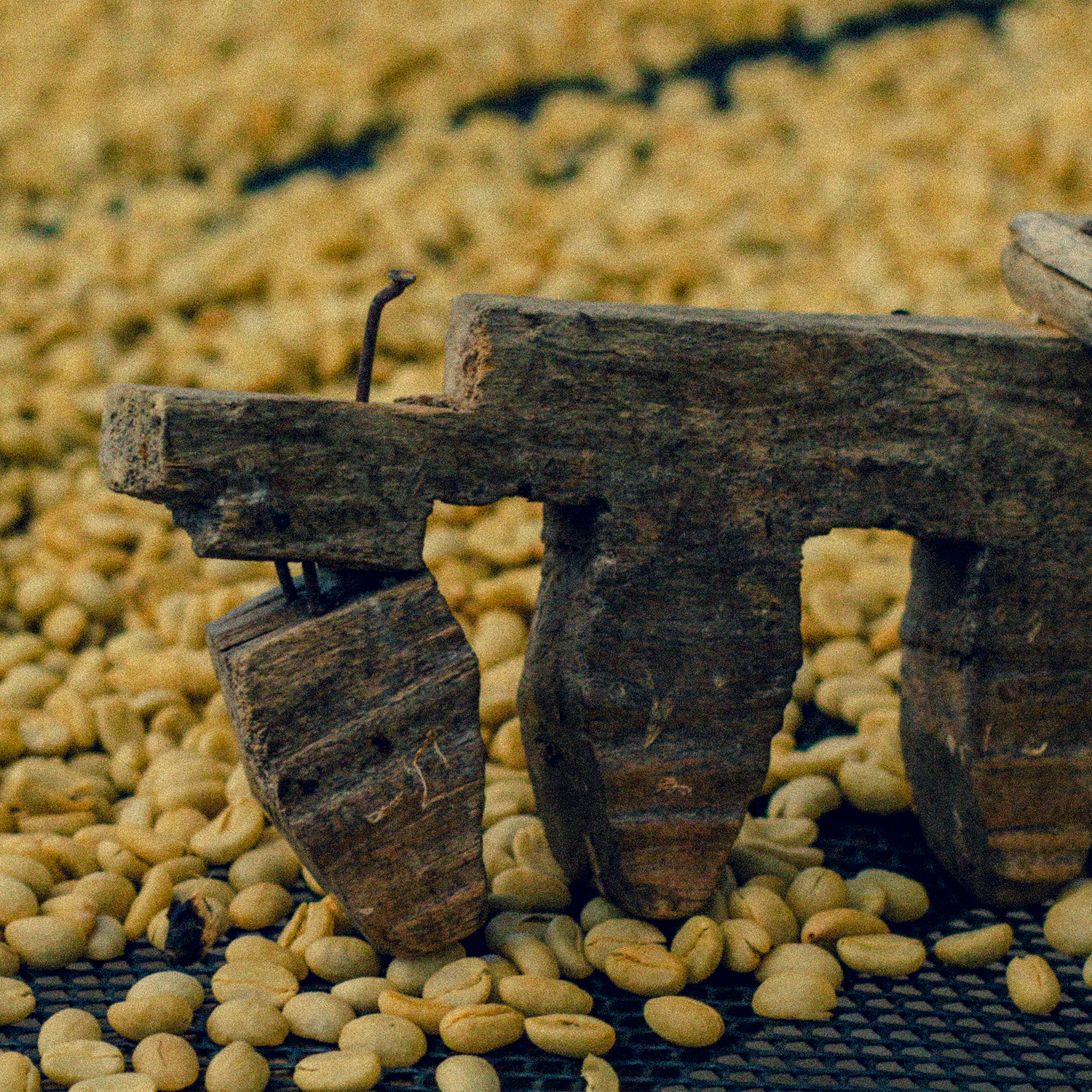 apulinli organic coffee