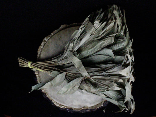 Chakapa Shamanic Rattle