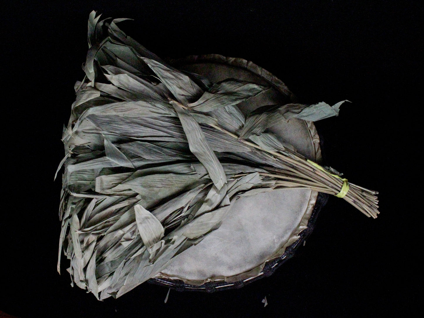 Chakapa Shamanic Rattle