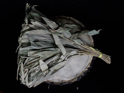 Chakapa Shamanic Rattle