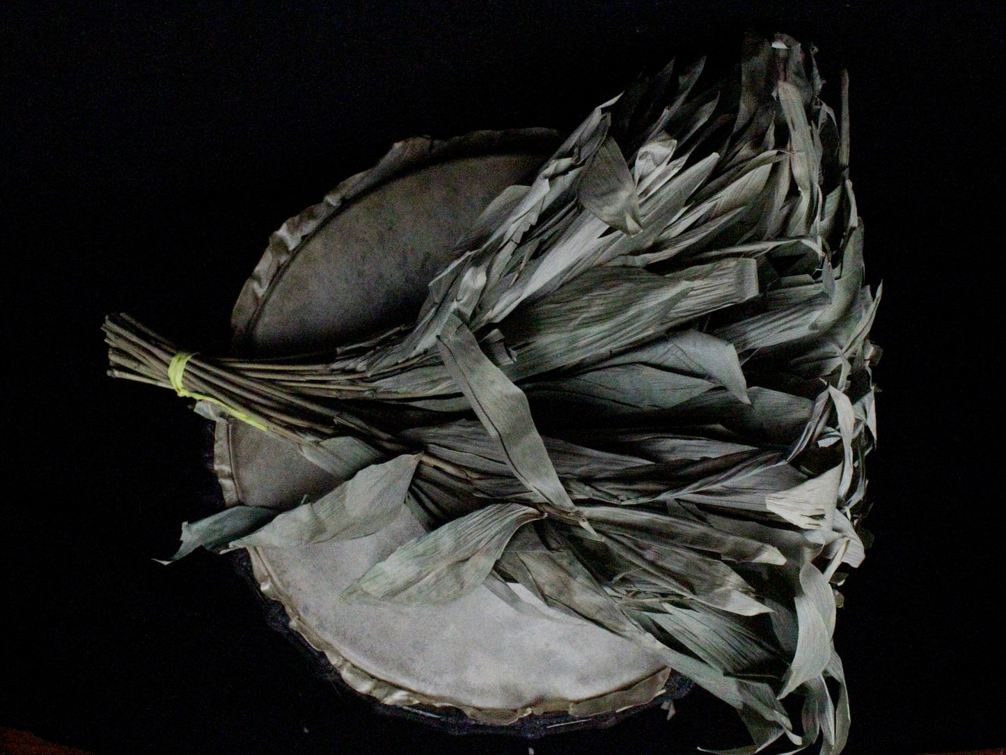 Chakapa Shamanic Rattle