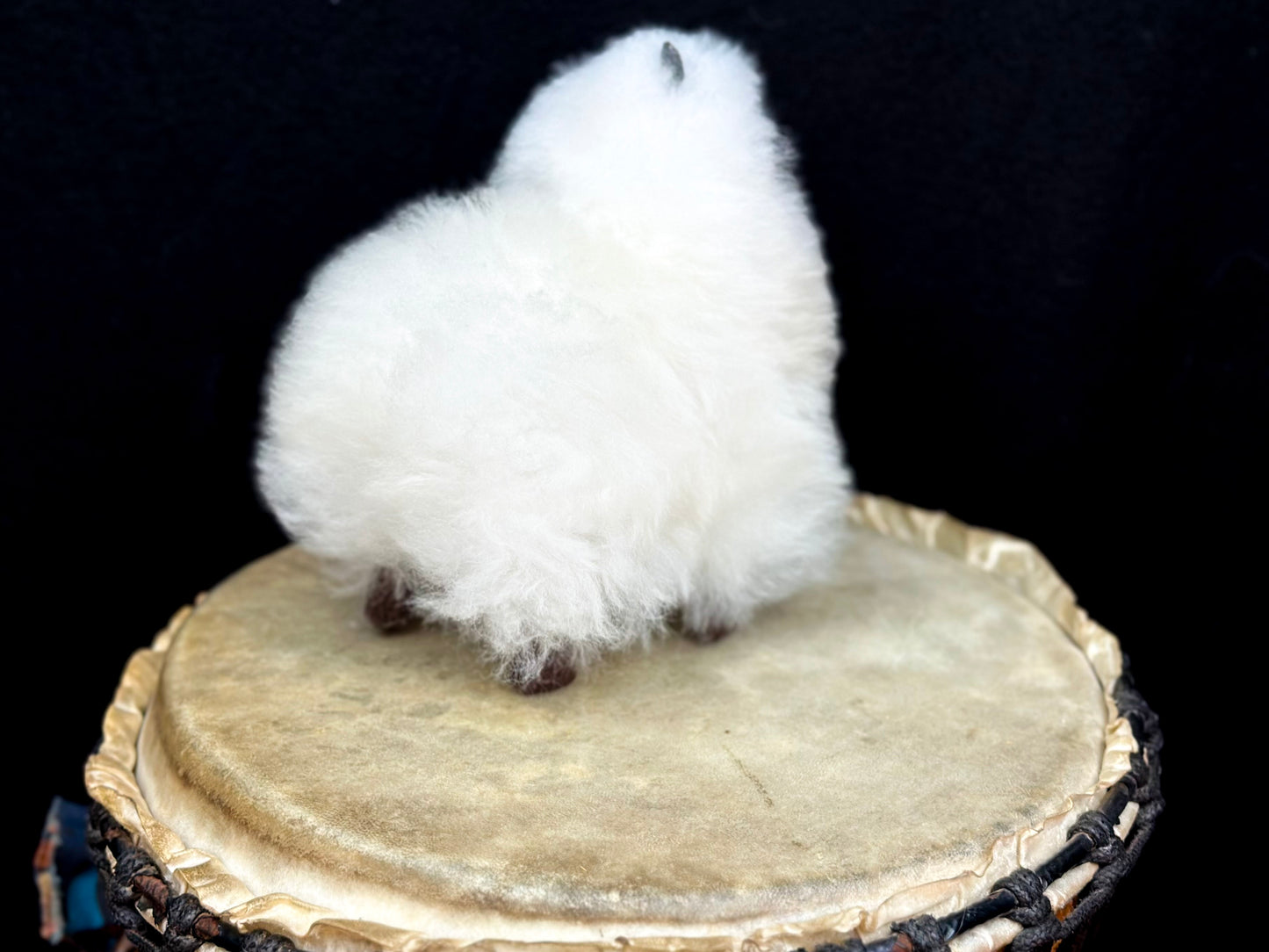 Adorable Alpaca Plushie