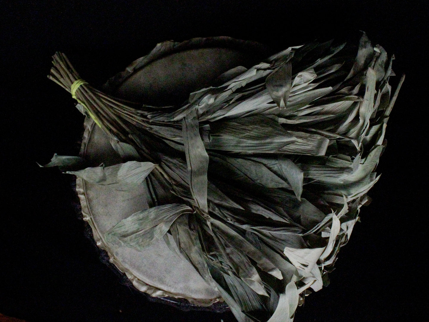 Chakapa Shamanic Rattle