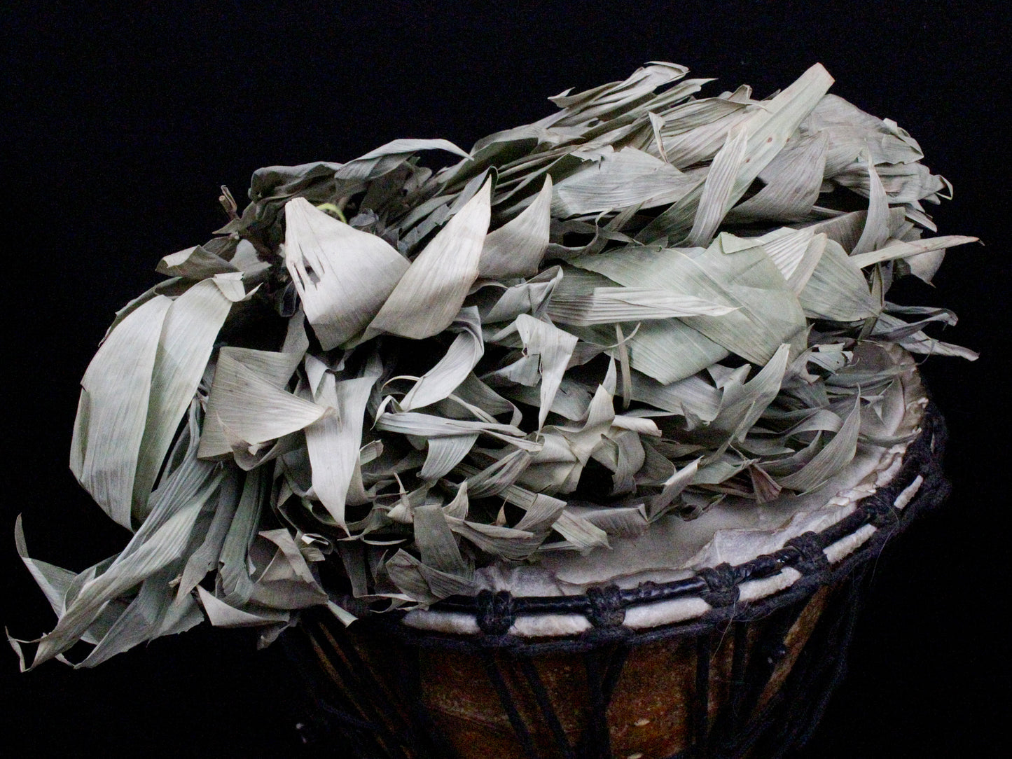 Chakapa Shamanic Rattle
