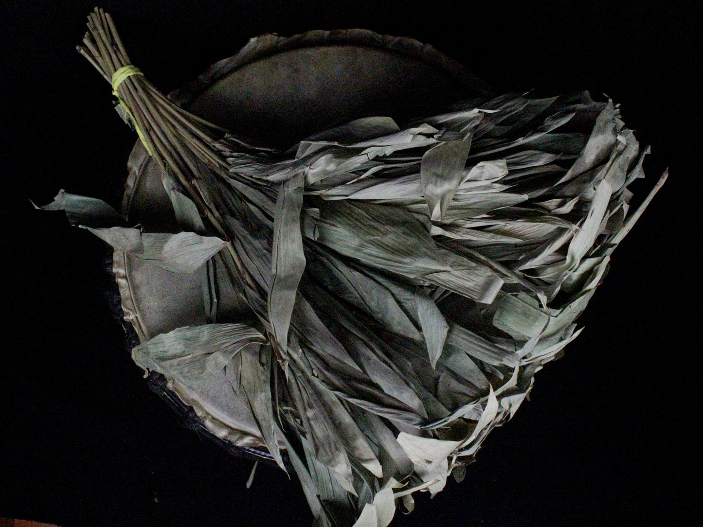Chakapa Shamanic Rattle