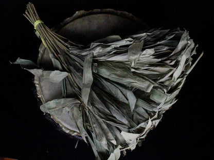 Chakapa Shamanic Rattle