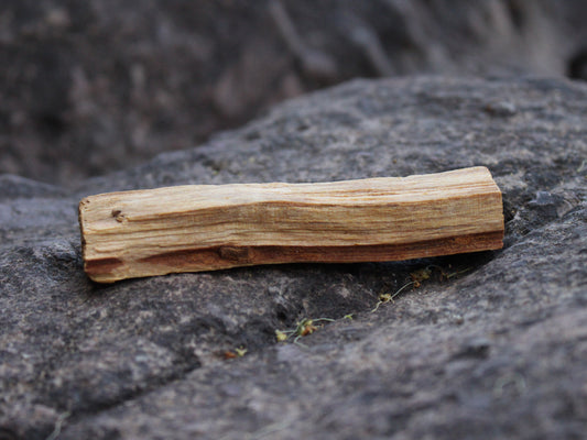 Palo Santo Sticks | Certified & Organic