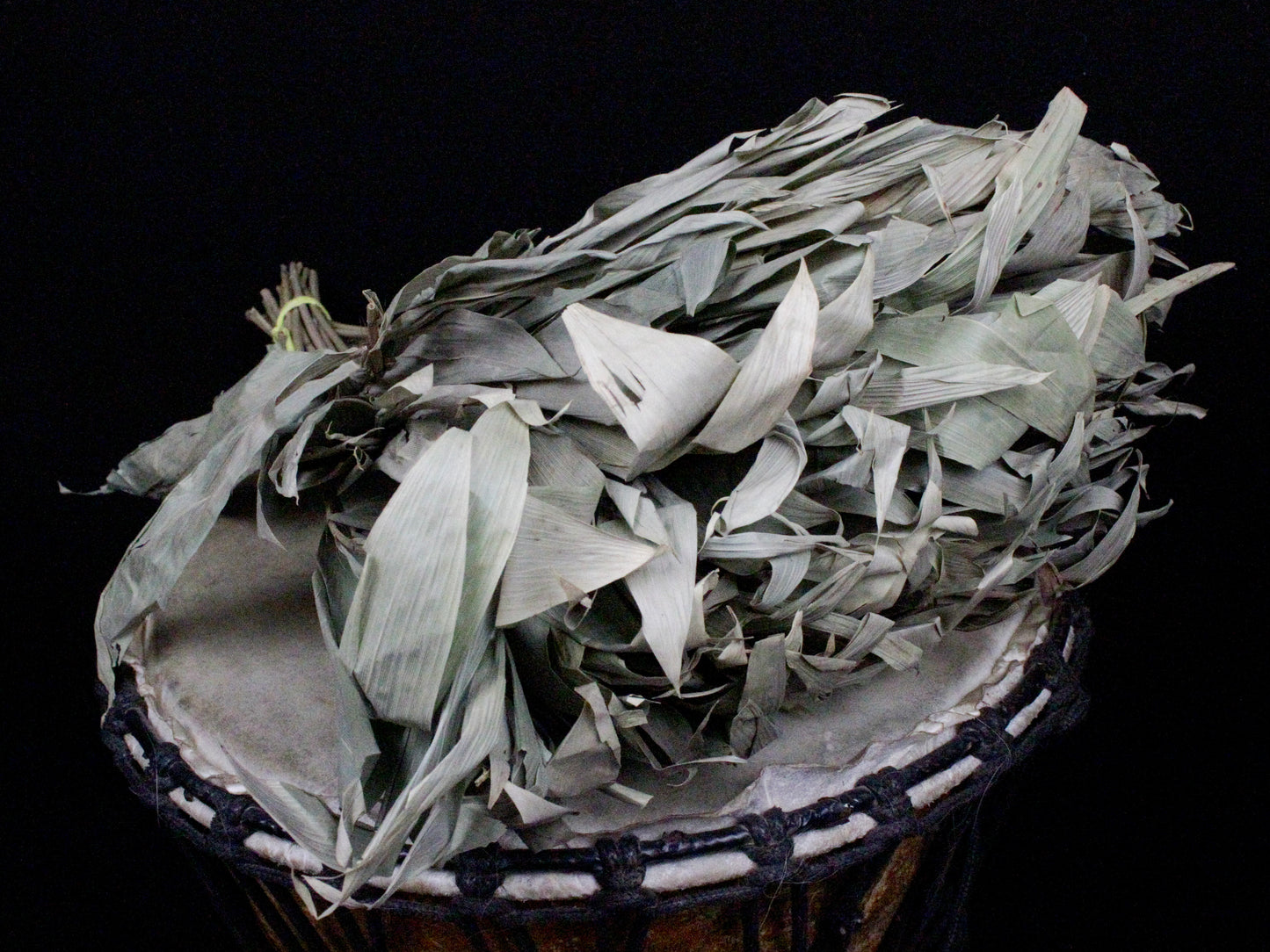 Chakapa Shamanic Rattle
