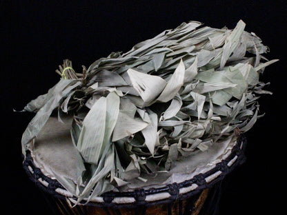 Chakapa Shamanic Rattle