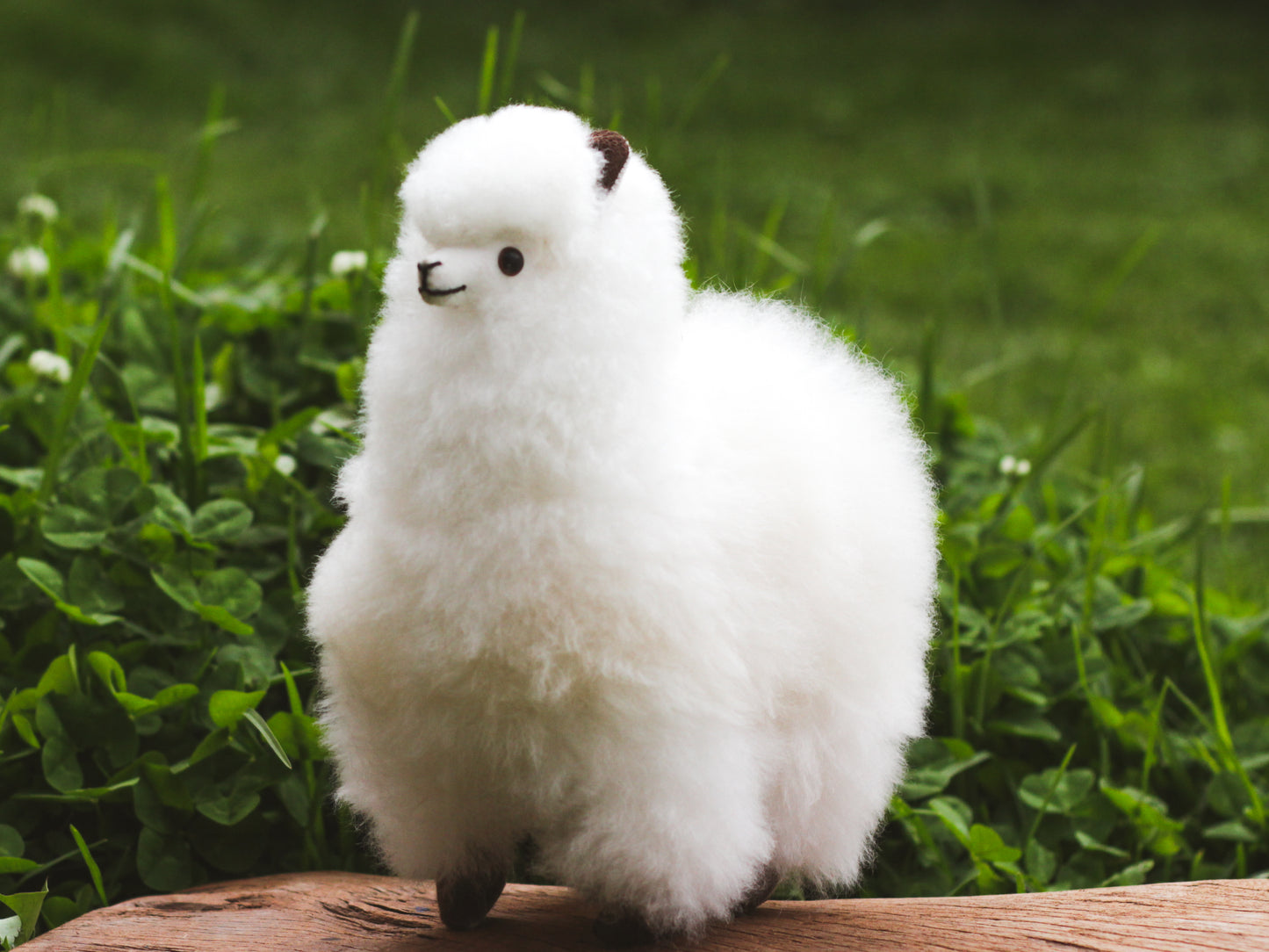 Adorable Alpaca Plushie
