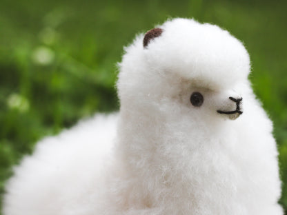 Adorable Alpaca Plushie